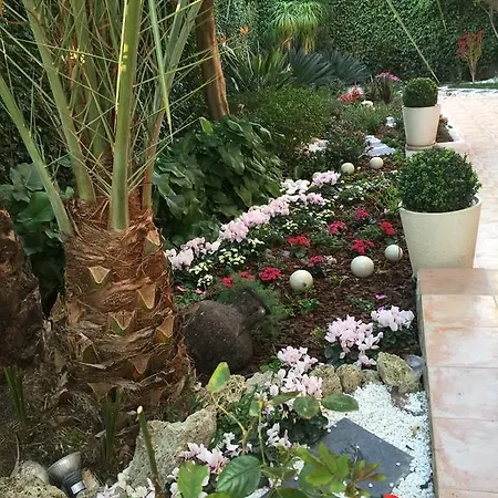 Luxury In Benidorm * 菲内斯特拉特