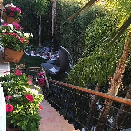 Luxury In Benidorm فينيسترات