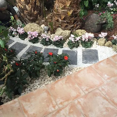 Luxury In Benidorm فيلة فينيسترات